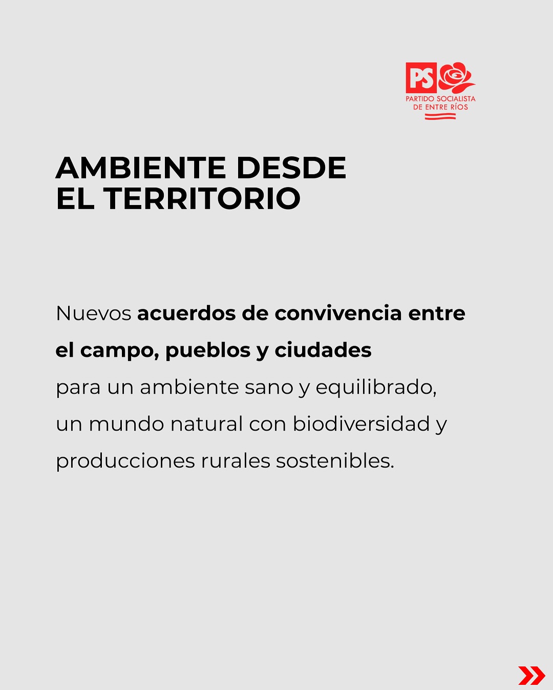 Placa 7 - Plenario PS Abril 2025