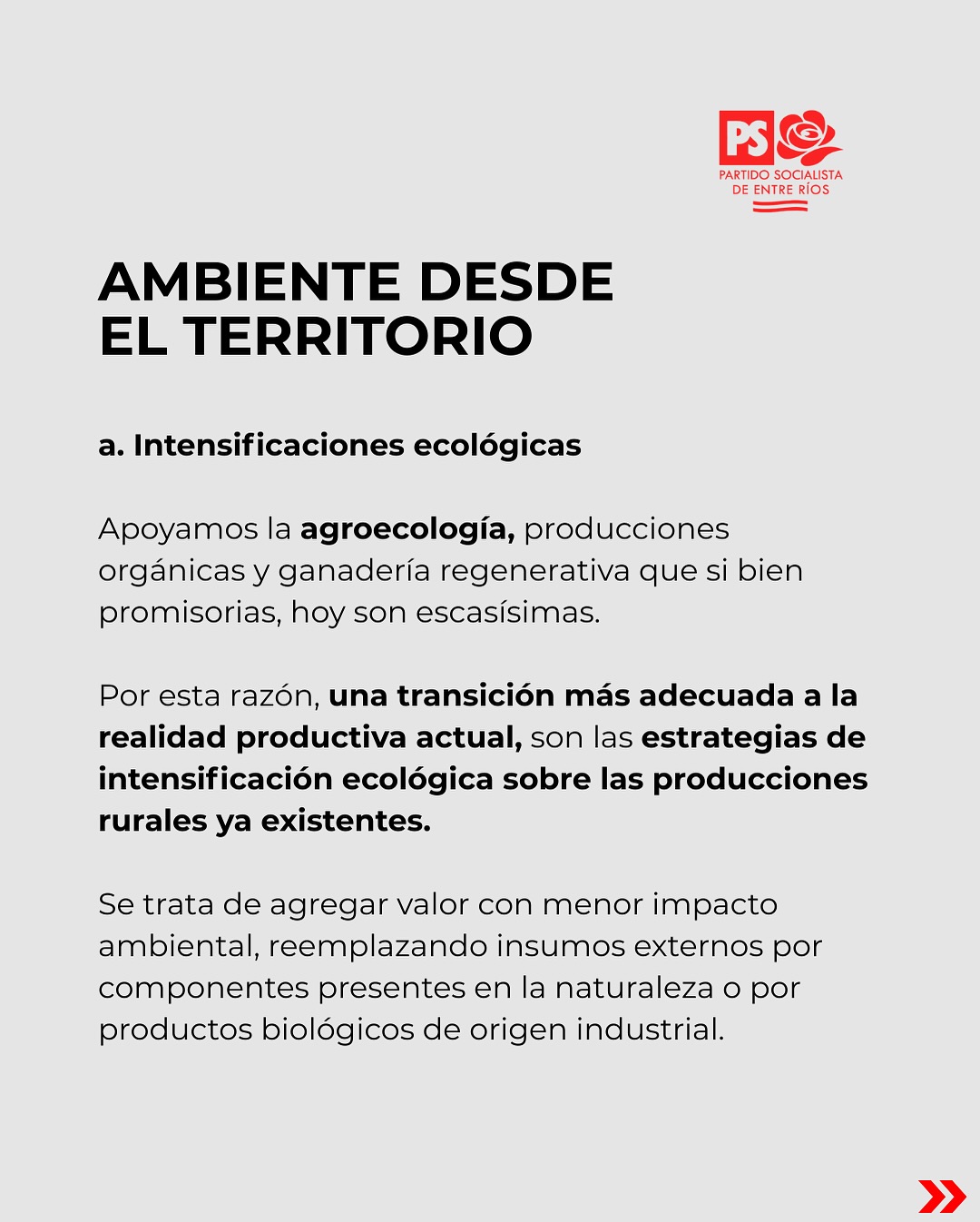 Placa 8 - Plenario PS Abril 2025